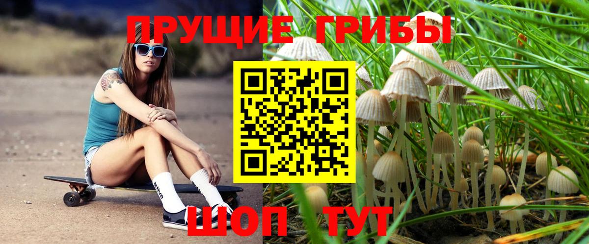 Магнитогорск  Галлюциногенные грибы Psilocybe  Вход с VPN  Галлюциногенные грибы мицелий 